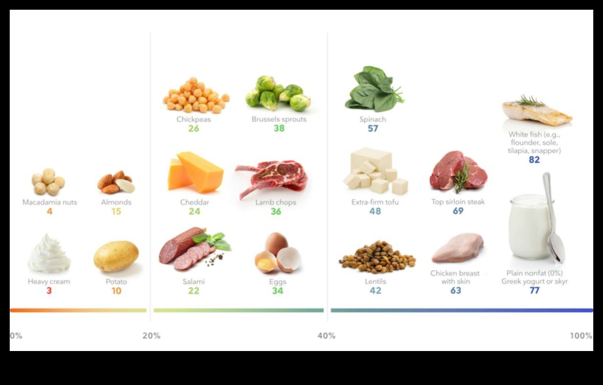 Beslenmeyi Maksimize Etmek: Yüksek Proteinli Diyetin Avantajı