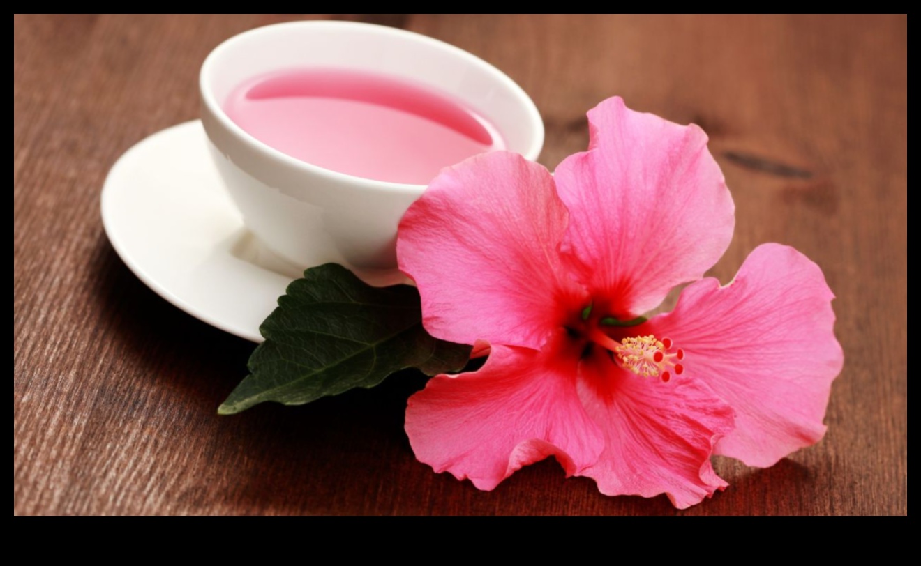 Hibiscus Harmony: Egzotik Hibiscus İnfüzyonları Dünyasına Bir Kılavuz