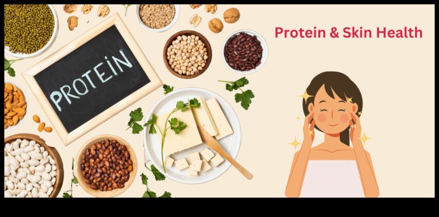 Protein Sağlıklı Cildin Anahtarıdır